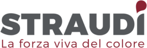 Logo_Straudi (1)